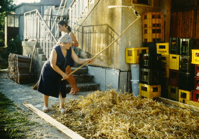 eika image